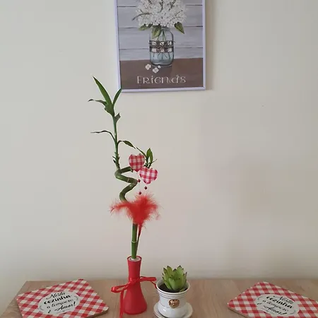 Stankovic Apartment *