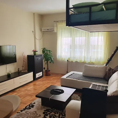 Apartment Stankovic *