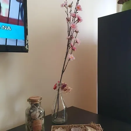 Stankovic Apartment
